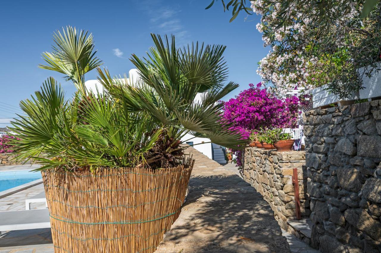 Mykonos TownCasa Cozy别墅 外观 照片