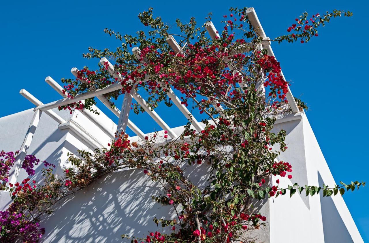 Mykonos TownCasa Cozy别墅 外观 照片